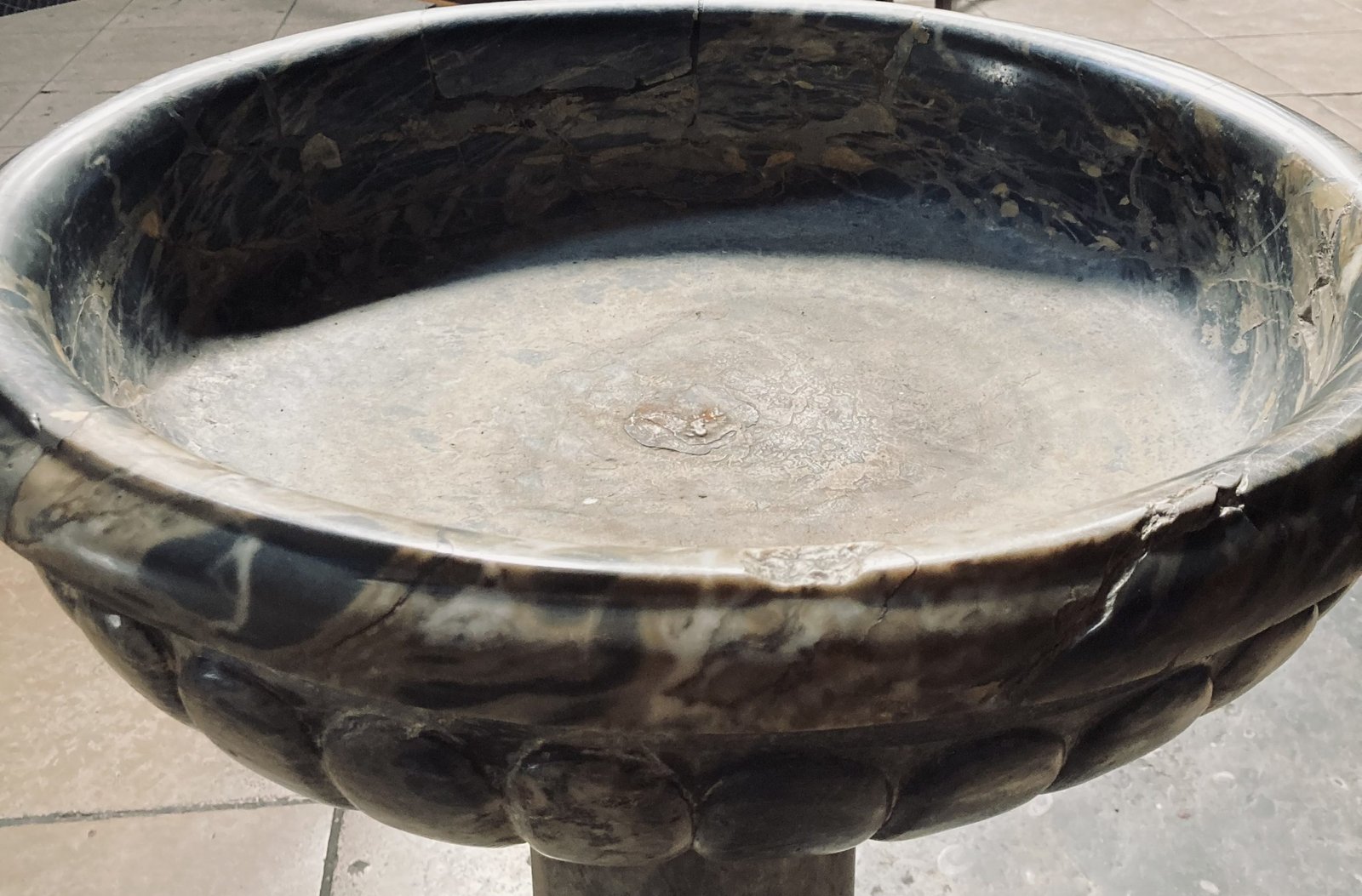 Le petit témoin © Sacha Foddis