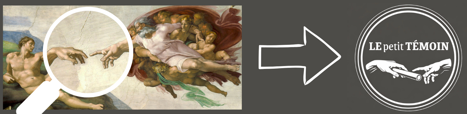 Le petit témoin © Sacha Foddis